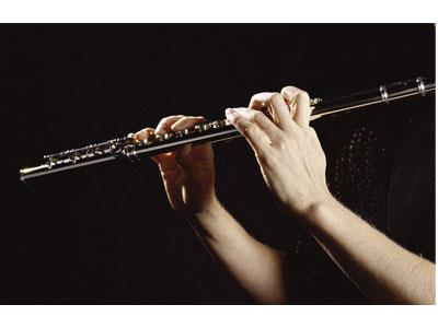 招聘洛阳长笛家教老师