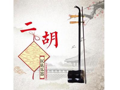 招聘洛阳二胡家教老师