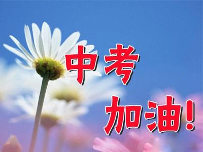 洛阳九年级辅导老师哪里找？